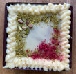 Mazurek pistacja/malina/czekolada